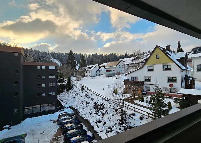Apartment Schanzenblick Mit Sauna Und Pool *